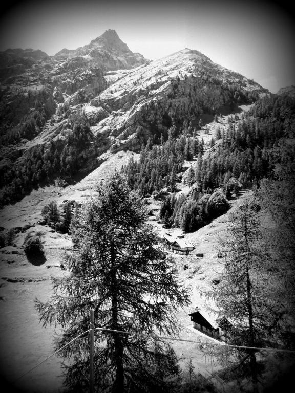 Il Piccolo Residence Gressoney-La-Trinite Exterior photo